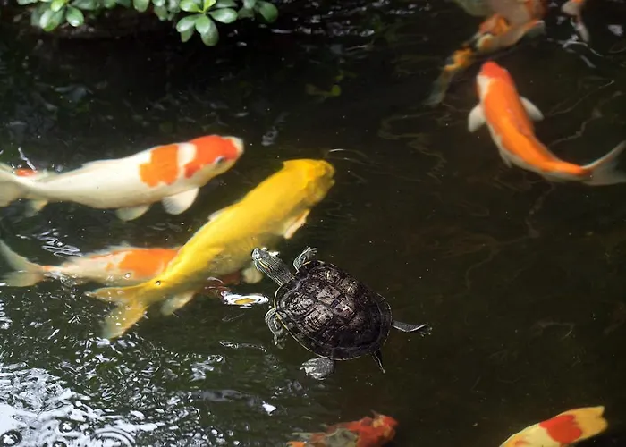 Anajak Hotel Bangkok